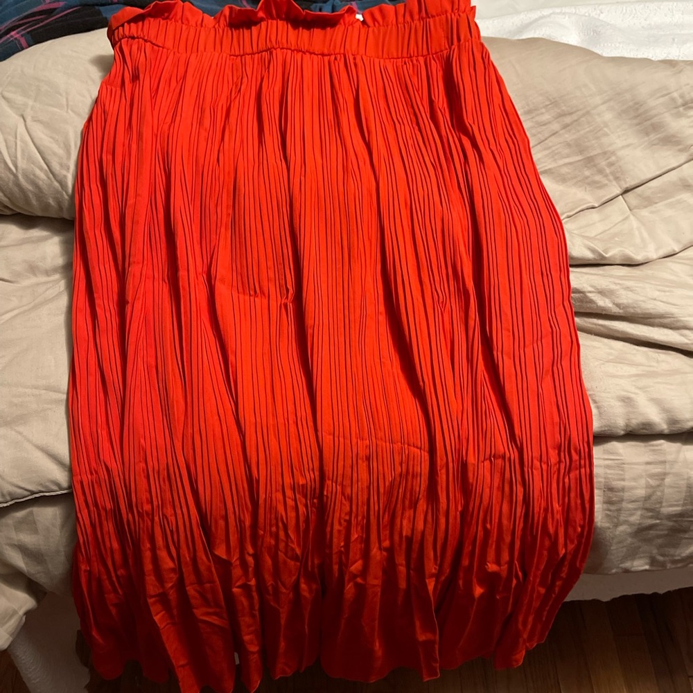 NWT skirt